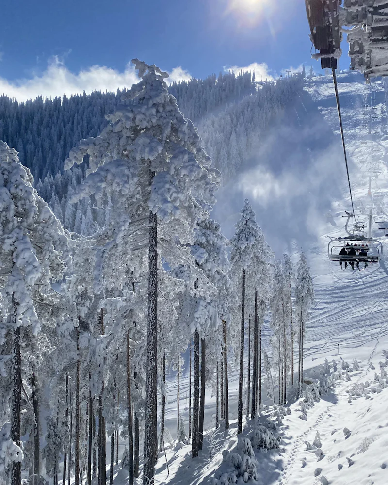 Ski lift iznad zaleđenih borova na Torniku